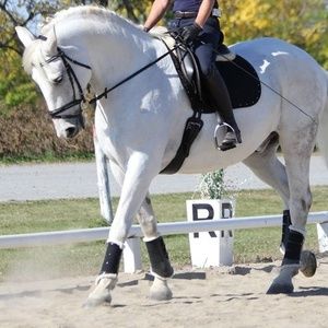 Meet your Posher, Brigitte